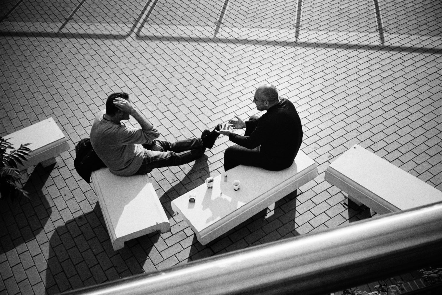 Discussion | Flickr - gato_gato_gato cc_by_2.0