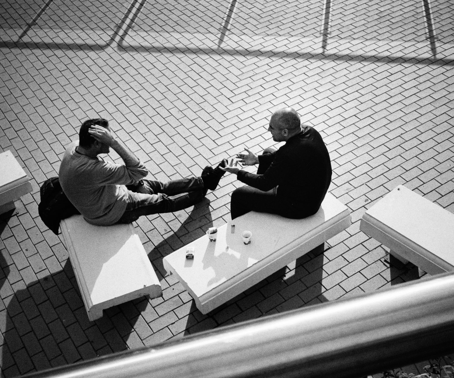 Discussion | Flickr - gato_gato_gato cc_by_2.0