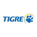 Tigre